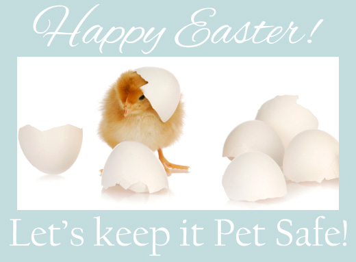 A Pet Safe Easter: Know these five dangers
